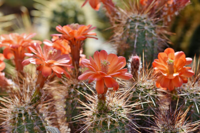 Der Aufwachensschmerz