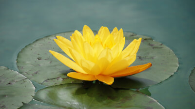 Meditation - Gefahren und Nutzen