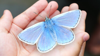 Erwachen und Verantwortung