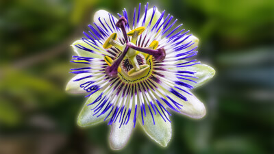 Erwachen - Glaube & Religion