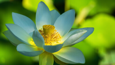 Erwachen und das Ego