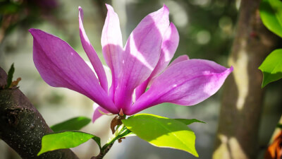 Erwachen - Die umfassende Heilung