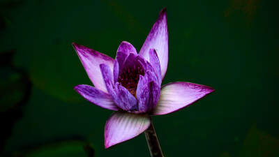 Wechselbad der Gefühle – Die Dunkle Nacht der Seele verstehen