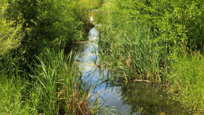 Absichtslosigkeit als Tor zum SELBST