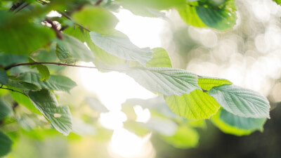 Erwachen - Glaube & Religion