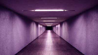 Ego-Tunnel, Inkarnationsabsicht und das Erwachen