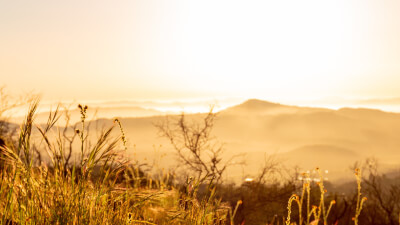 Rückzug oder raus ins Leben?