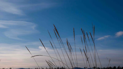 Wie schaffe ich die Hindernisse auf dem Weg zum Erwachen beiseite?