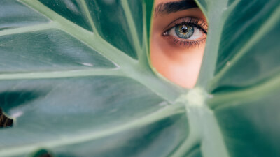 Der Körper als Ausdruck des SELBST