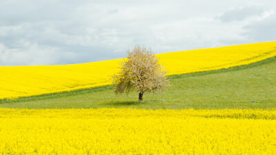 Ich-losigkeit erleben: Leben ohne Ego und Einheit erfahren