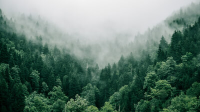 Magie & Mystik - Real oder Illusion?