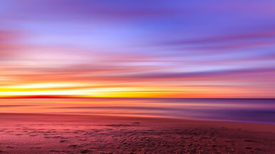 Die Vielfalt in der Einheit