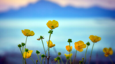 Ich-Stärke nutzen für dauerhaftes Erwachen
