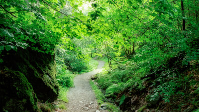 Innere Unruhe - Frieden finden