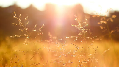 Freiheit beginnt in dir: Warum du schon alles hast, was du brauchst!