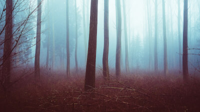 Hypersensibel? Das ist der wahre Grund!