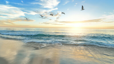 Warum du deinem Gefühl von Unwürdigkeit oder Minderwertigkeit nicht glauben solltest