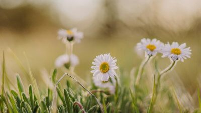 Spiritualität ohne Umwege: Es beginnt im Alltag