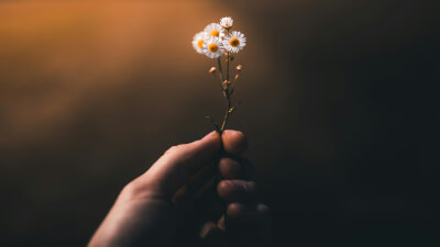 Wie du endlich wieder fühlst, wer du wirklich bist