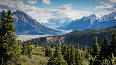 Freiheit beginnt, wenn du aufhörst zu suchen