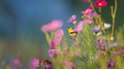 Spirituelles Erwachen beginnt im Körper – nicht im Kopf!