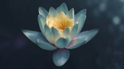 Warum Denken die einfachste Meditation der Welt ist – probier es aus!