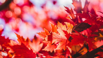 Erwachen & Erleuchtung durch Kreativität – Dein Weg zu innerer Freiheit