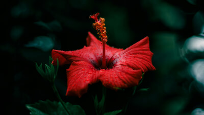 Konflikte sind kein Fehler - wie sie dich zum spirituellen Erwachen führen
