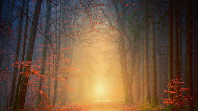 Spirituelles Erwachen: Wenn du alles durchschaut hast - und es trotzdem noch wehtut