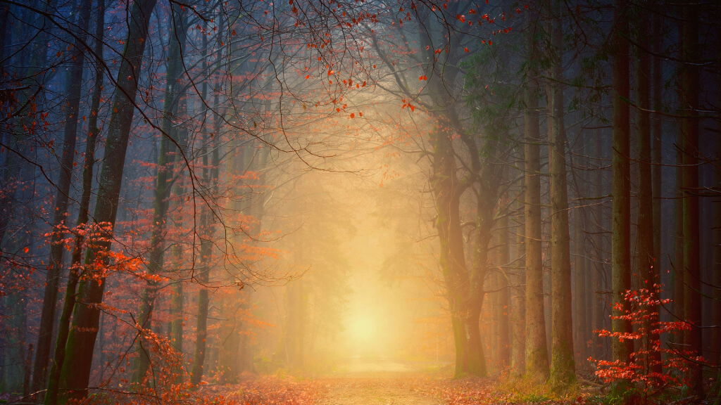 Wenn du alles durchschaut hast aber es trotzdem noch wehtut