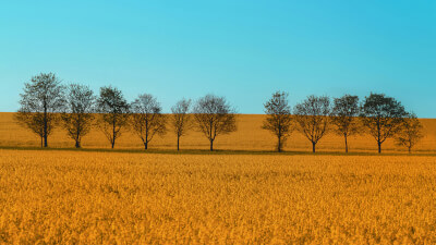 Spirituelles Erwachen: Warum sich plötzlich alles leer anfühlt - und warum das normal ist