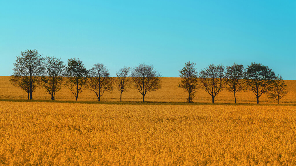 Spirituelles Erwachen: Warum sich alles leer anfühlt – und warum das normal ist