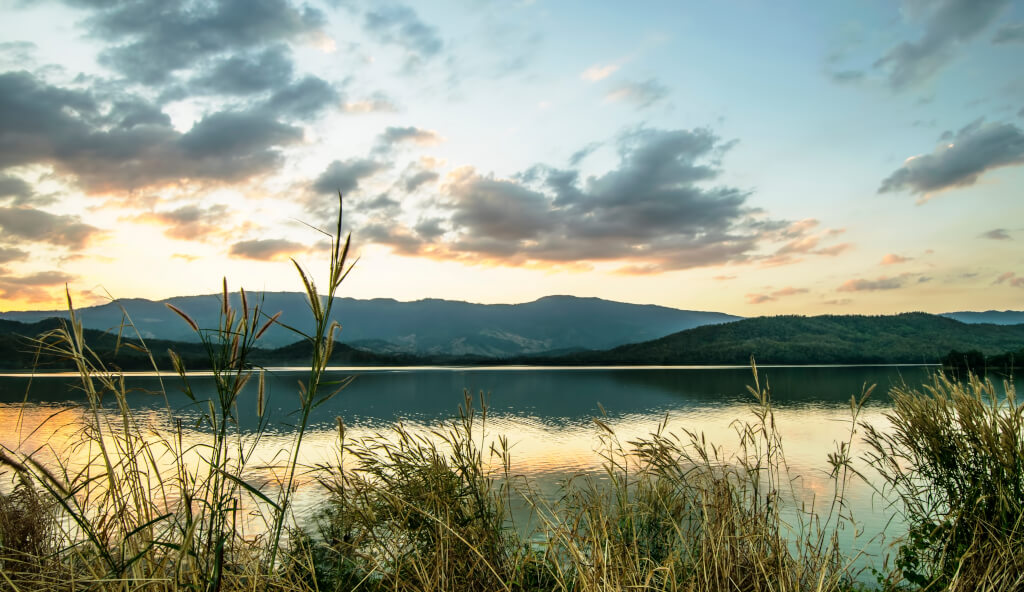 Ruhige Landschaft im sanften Morgenlicht