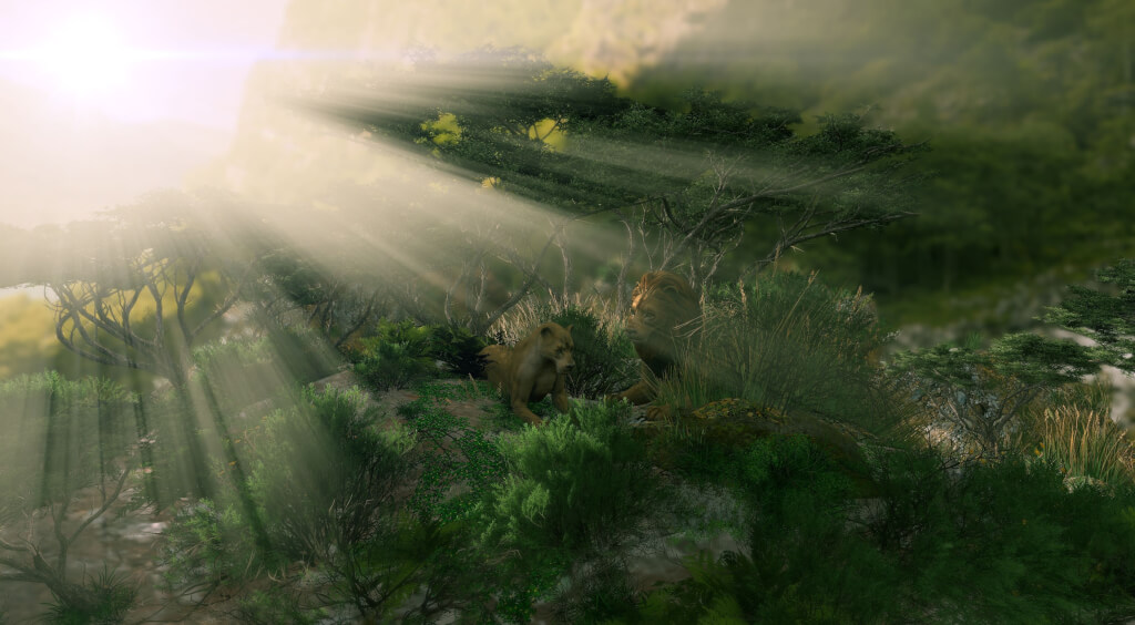 Bewusstsein, Ego und wahre Natur