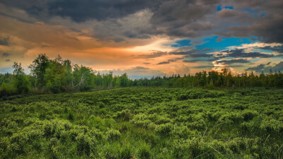 Erwachen & Erleuchtung // Festhalten und Loslassen