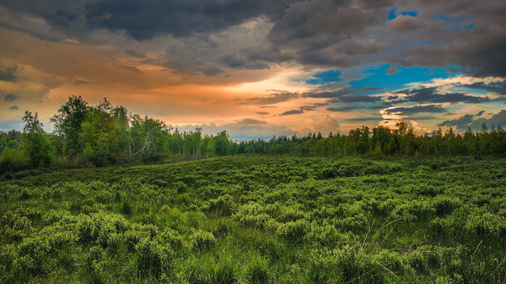 kienvirak road 4878648