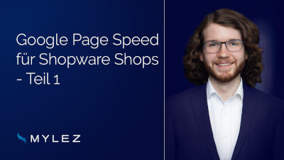 Shopware Performance Optimierung Google Page Speed