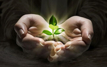 investitionen