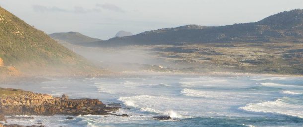 Chardonnay – der Geschmack der großen weiten Weinwelt › Wolfgang Staudt