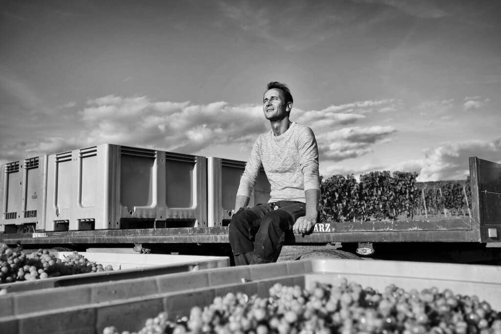 Wie entsteht Präzision im Wein?