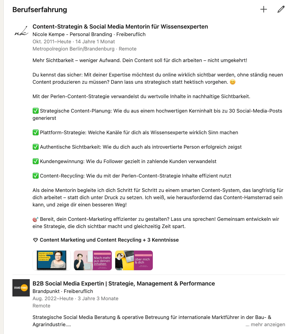 Screenshot Berufserfahrung Linkedin