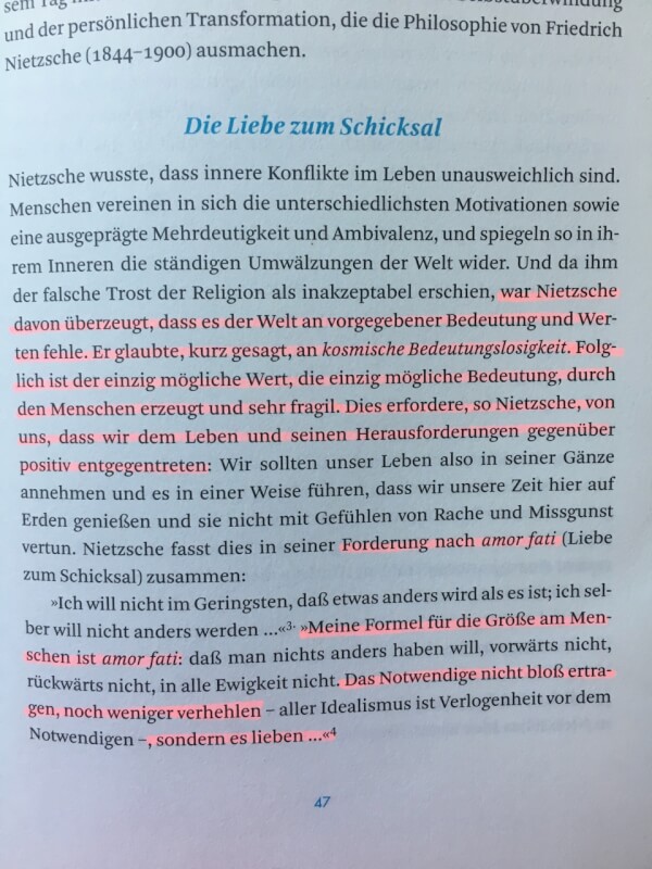 ankevonplaten kosmische bedeutungslosigkeit