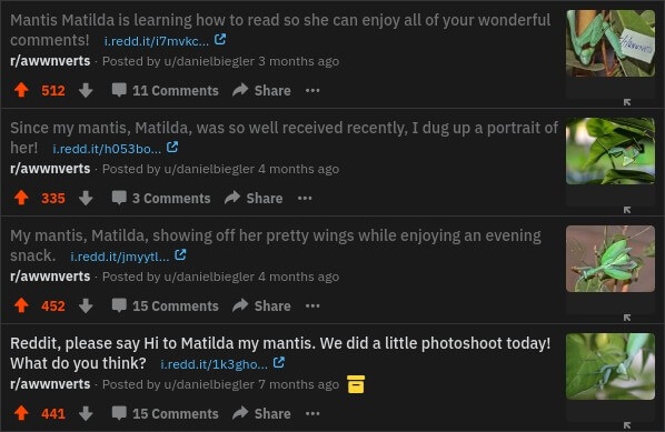 daniel biegler matilda reddit posts