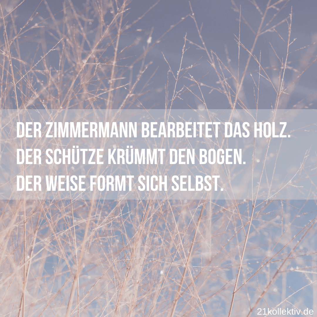 Die besten Sprüche, Zitate & Lebensweisheiten zum Nachdenken ️