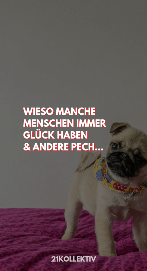 Download Das glueck ist mit den dummen For iPhone Free