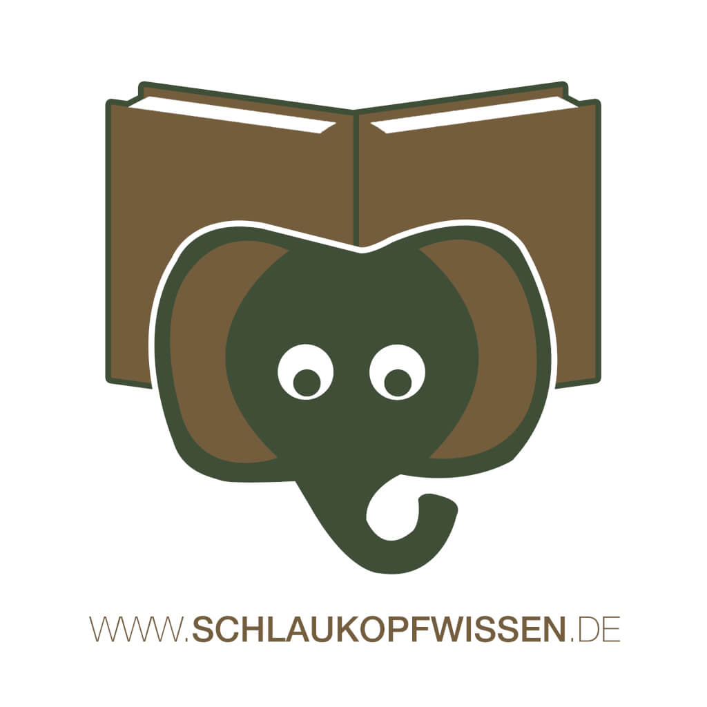 LOGO Schlaukopfwissen2