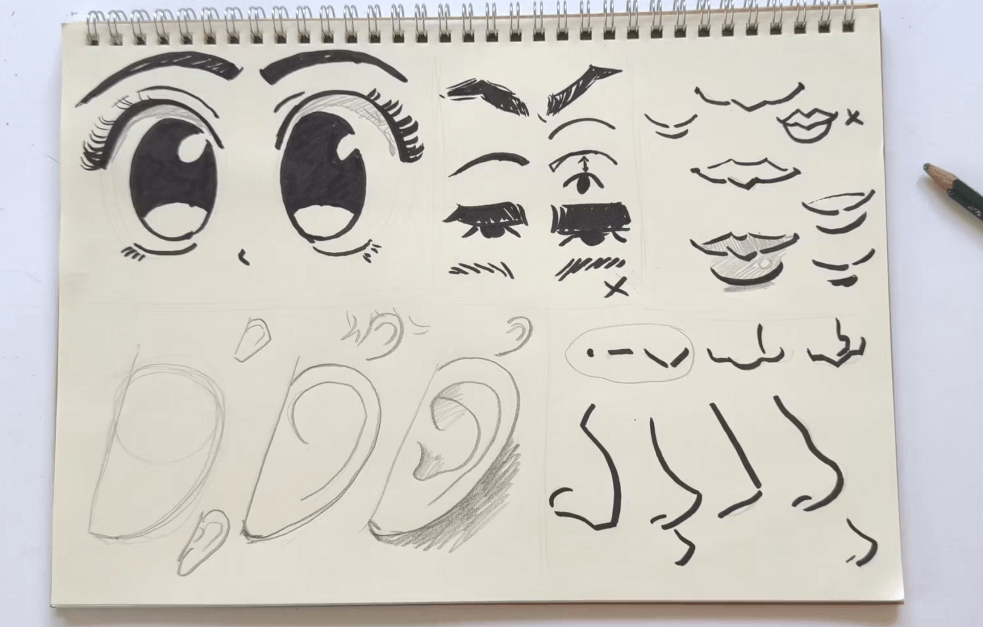 zeichnen lernen für kinder ausmalen chibi manga früchte apfel erdbeere zeichenkurs maxim simonenko totoro ghibli ausmalbild