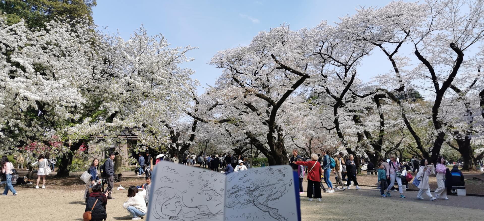 malreise japan kunstreise mit maxim simonenko foto sakura skizzieren shinjuku picknick