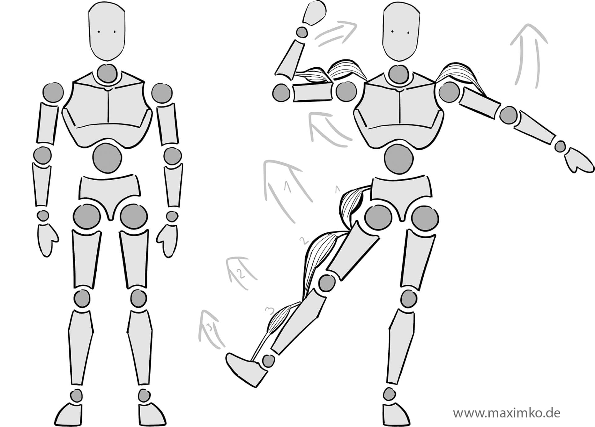 Anatomie-Tutorial: Funktionsweise von Gelenken und Muskeln beim Zeichnen von Posen. Darstellung einer Gliederpuppe mit aktiven Muskelgruppen.