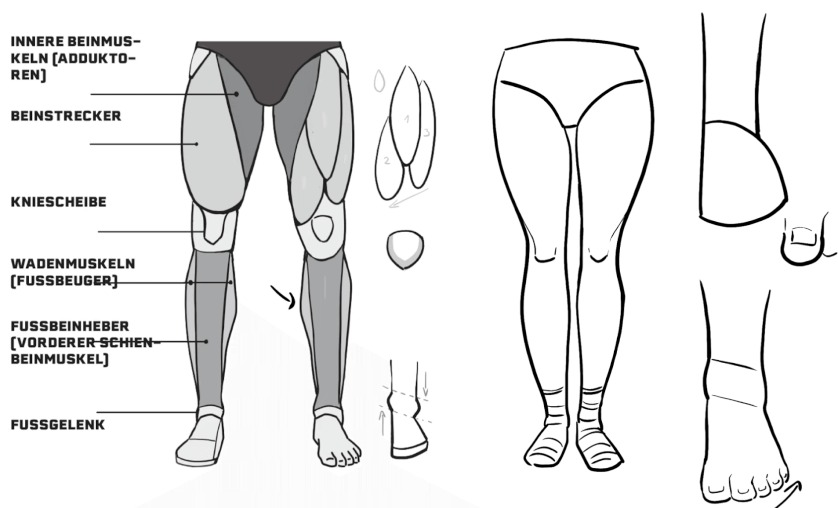 Anatomie-Tutorial für Manga-Beine: Frontansicht mit Muskelgruppen, Anime-Girl-Beispielen und Schritt-für-Schritt-Konstruktion der Füße und Knie, Beinstrecker, Wadenmuskeln, Fussgelenk, Adduktoren.